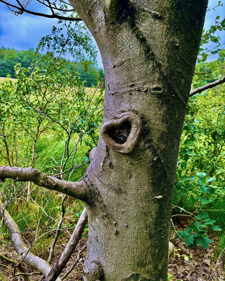 waar natuur en liefde samenkomen